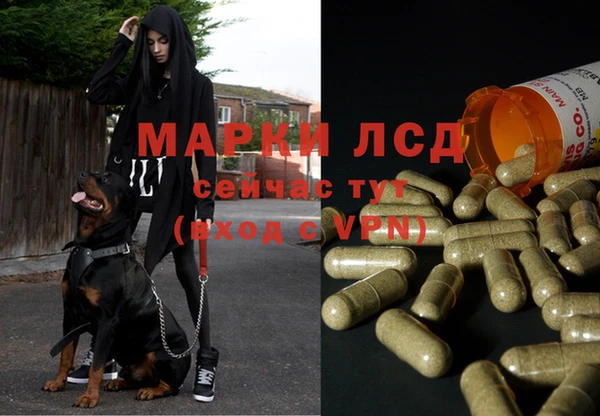 СК Вязники